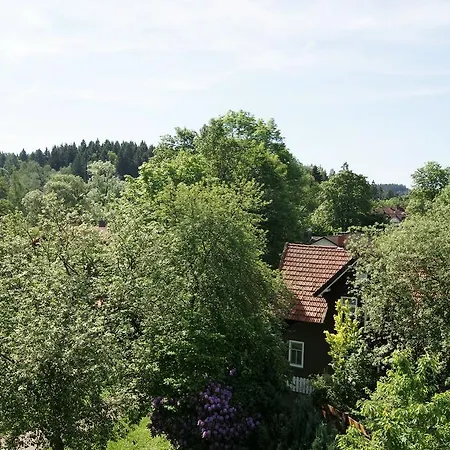 Hotel Hotel Braunlage Braunlage