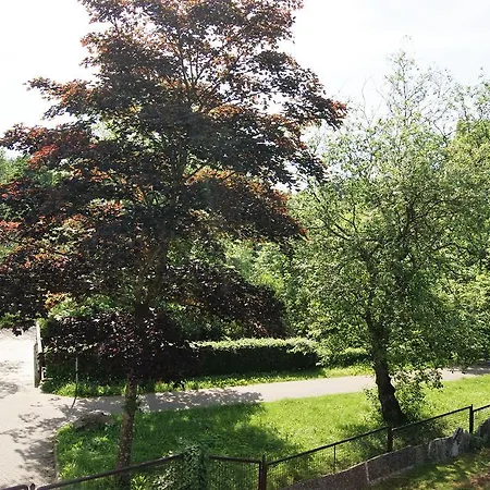 Hotel Hotel Braunlage Braunlage