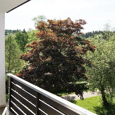 Hotel Hotel Braunlage Braunlage